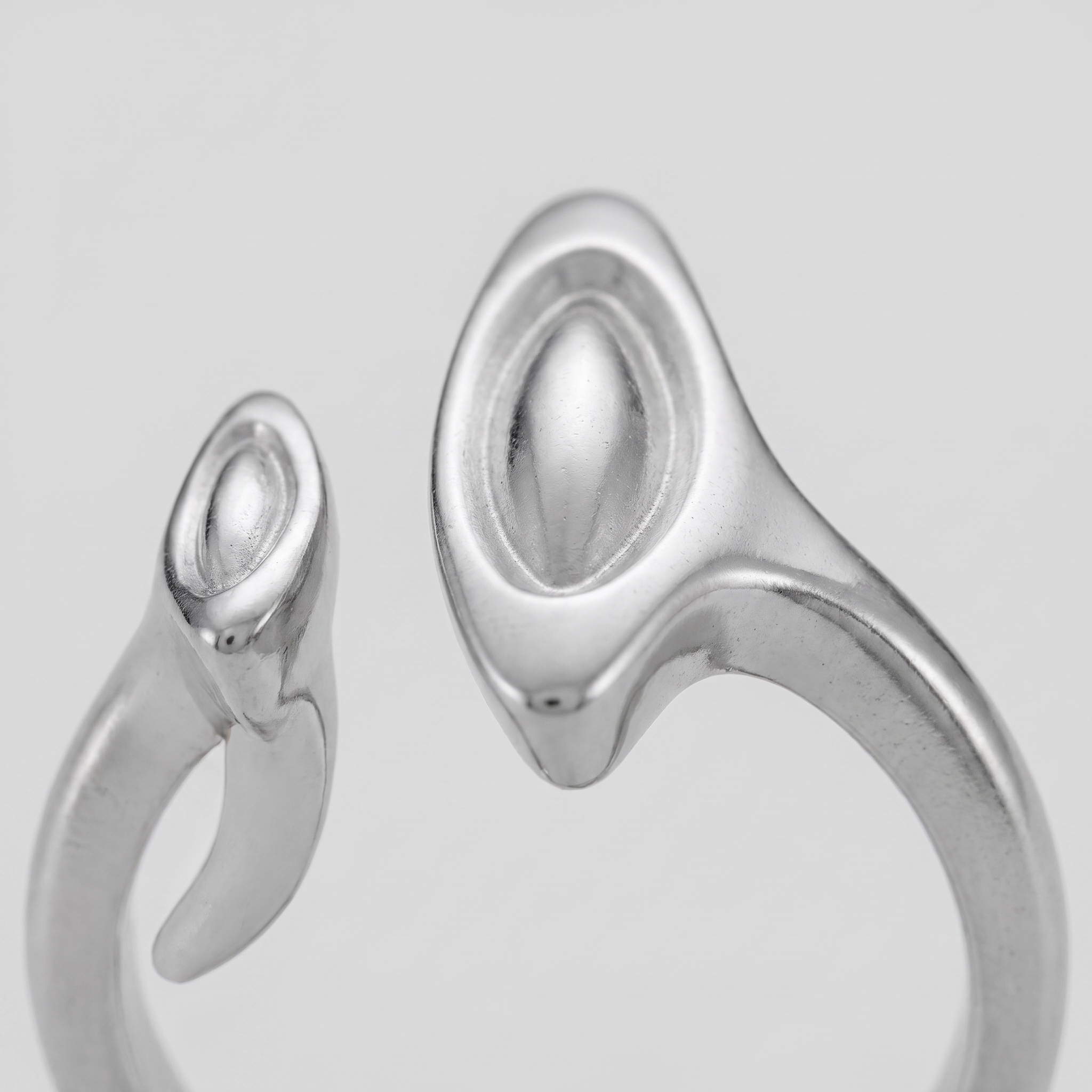 Continuum Ring