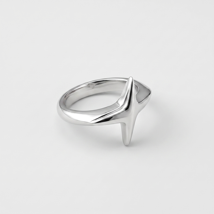 Ion Ring
